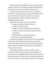 Referāts 'Grāmatvedības bilance, tās informatīvais saturs un analītiskās īpašības', 12.