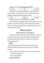 Referāts 'Grāmatvedības bilance, tās informatīvais saturs un analītiskās īpašības', 17.