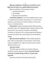 Referāts 'Grāmatvedības bilance, tās informatīvais saturs un analītiskās īpašības', 18.