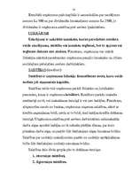 Referāts 'Grāmatvedības bilance, tās informatīvais saturs un analītiskās īpašības', 23.