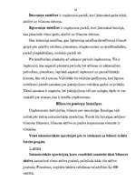 Referāts 'Grāmatvedības bilance, tās informatīvais saturs un analītiskās īpašības', 24.