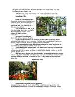 Referāts 'Aksels Munte', 6.