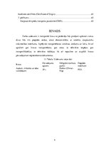 Biznesa plāns 'Loģistika. Multimodālās kravu piegādes sistēmas projektēšana', 4.