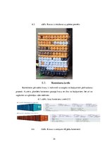 Biznesa plāns 'Loģistika. Multimodālās kravu piegādes sistēmas projektēšana', 24.