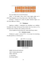 Biznesa plāns 'Loģistika. Multimodālās kravu piegādes sistēmas projektēšana', 25.