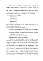 Biznesa plāns 'Loģistika. Multimodālās kravu piegādes sistēmas projektēšana', 41.