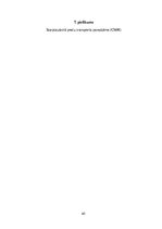 Biznesa plāns 'Loģistika. Multimodālās kravu piegādes sistēmas projektēšana', 65.