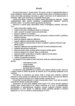 Biznesa plāns 'Biznesa plāns SIA "Bikses"', 3.