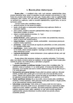 Biznesa plāns 'Biznesa plāns SIA "Bikses"', 4.