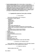 Biznesa plāns 'Biznesa plāns SIA "Bikses"', 5.