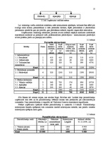 Biznesa plāns 'Biznesa plāns SIA "Bikses"', 10.