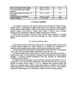 Biznesa plāns 'Biznesa plāns SIA "Bikses"', 13.