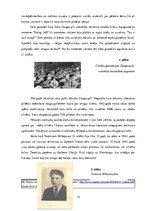 Referāts 'Latvijas okupācija un ārpustiesas represijas', 12.