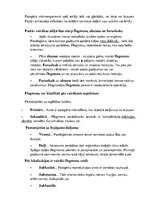 Konspekts 'Flegmona', 3.