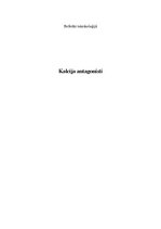 Referāts 'Toksikoloģija, kalcija antagonisti', 1.