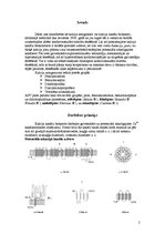 Referāts 'Toksikoloģija, kalcija antagonisti', 2.