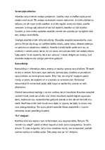 Konspekts 'Sociālās zinības – cilvēks, sabiedrība un savstarpējās attiecības', 3.