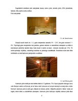 Referāts 'Viesnīca "Full Moon"', 6.