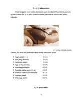 Referāts 'Viesnīca "Full Moon"', 8.