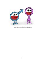 Paraugs 'Statistikas diagrammas', 13.