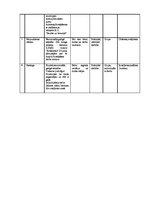 Konspekts 'Nedēļas plāns "Mana ģimene"', 3.