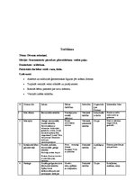 Konspekts 'Nedēļas plāns "Mana ģimene"', 6.