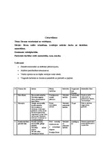 Konspekts 'Nedēļas plāns "Mana ģimene"', 8.