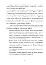 Referāts 'Loģistikas problēmas. Rēzeknes satiksme', 13.