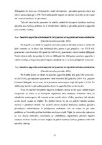 Referāts 'Loģistikas problēmas. Rēzeknes satiksme', 15.