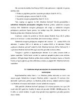 Referāts 'Loģistikas problēmas. Rēzeknes satiksme', 19.