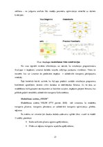 Referāts 'Loģistikas problēmas. Rēzeknes satiksme', 27.