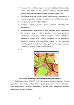 Referāts 'Loģistikas problēmas. Rēzeknes satiksme', 28.