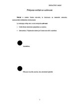 Referāts 'Fiziskās aktivitātes zemnieku saimniecībās strādājošiem darbiniekiem', 5.