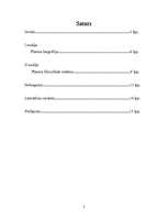 Referāts 'Platons', 2.