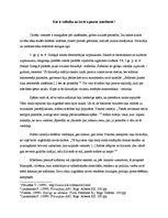 Eseja 'Kas ir sofistika un kā tā izpaužas mūsdienās', 1.