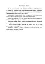 Referāts 'Ķīmisko vielu noplūde', 5.