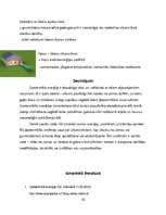 Referāts 'Ģeotermālā enerģija', 10.
