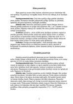 Konspekts 'Panarīcijs', 2.