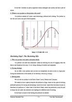 Biznesa plāns 'Company "Les Sept Fantastiques"', 13.