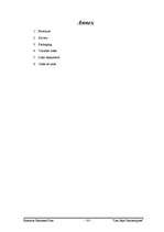 Biznesa plāns 'Company "Les Sept Fantastiques"', 30.