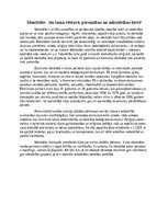 Eseja 'Identitāte - tās loma vēsturē, personības un sabiedrības dzīvē', 1.