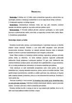 Konspekts 'Birokrātija', 1.