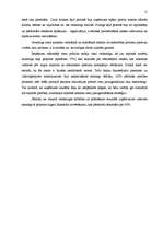 Prakses atskaite 'Prakse būvniecības firmā', 14.