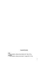 Referāts 'Lietuvas brīvības cīņas', 8.