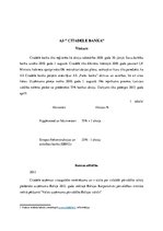 Referāts 'AS "Citadele"', 3.