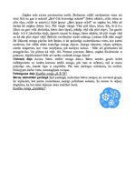 Konspekts 'Integrētas nodarbības nedēļai "Kā es sajūtu ziemu"', 3.