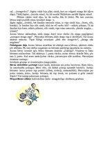 Konspekts 'Integrētas nodarbības nedēļai "Kā es sajūtu ziemu"', 11.