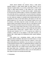 Prakses atskaite 'Uzņēmuma ārējās un iekšējās vides analīze', 6.