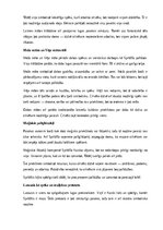 Konspekts 'Annas Brigaderes lugas “Sprīdītis” analīze', 4.