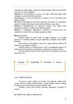 Prakses atskaite 'Uzņēmuma darbības analīze', 13.